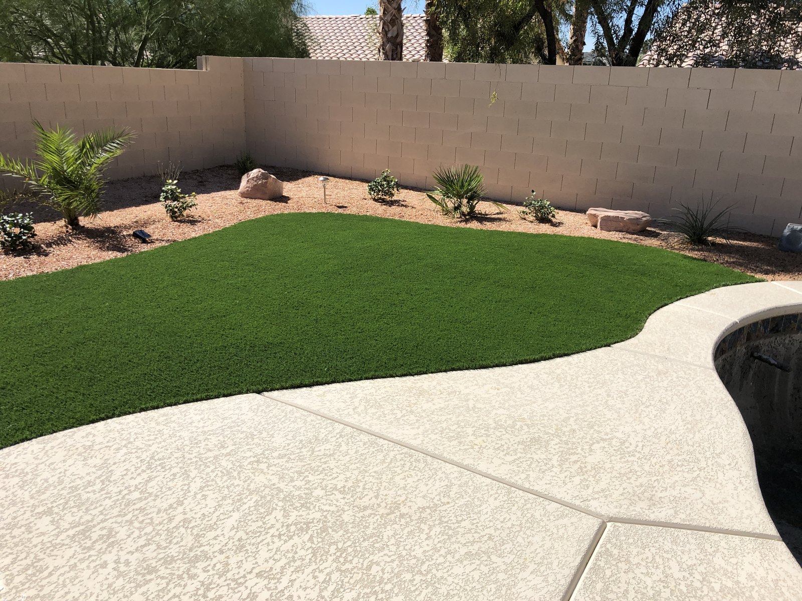 Curved synthetic turf and concrete walkway